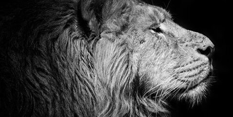 EdwinAngima's profile banner image