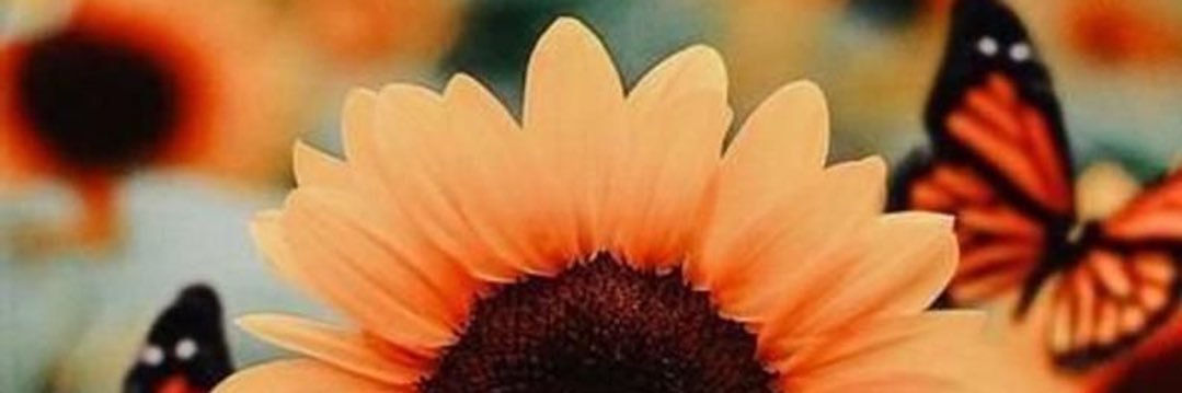 kiiabg's profile banner image