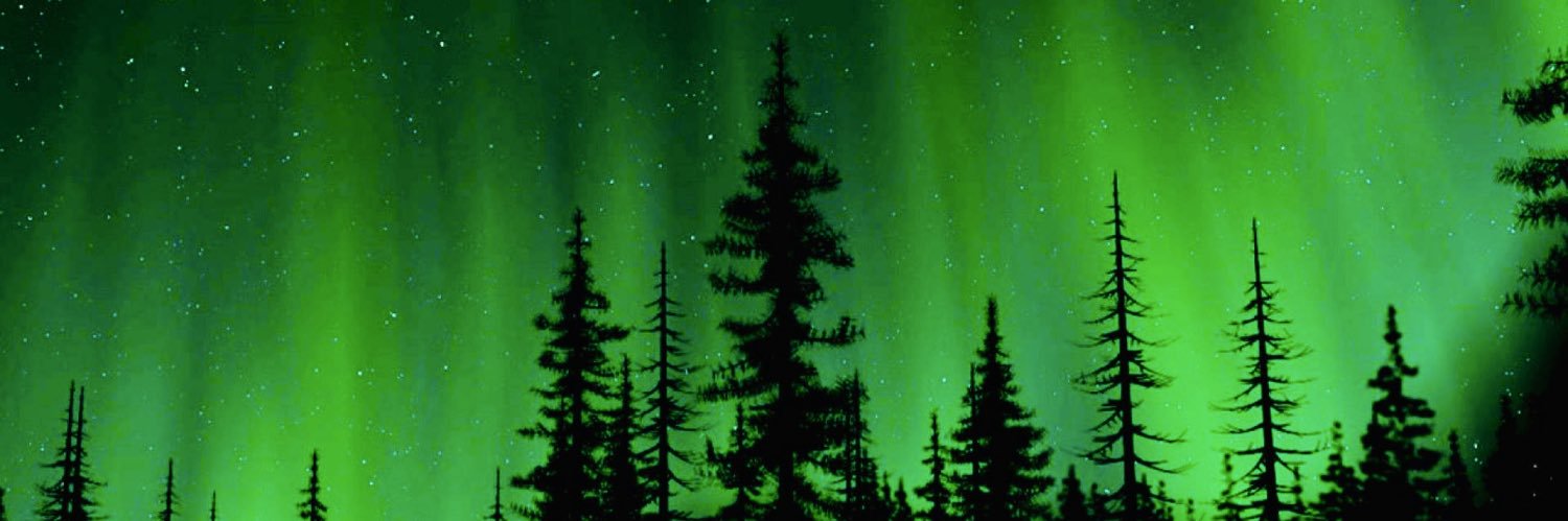 carly ᛪ༙ #1 CHEERARDER banner