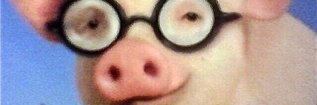 NateTymoshuk's profile banner image
