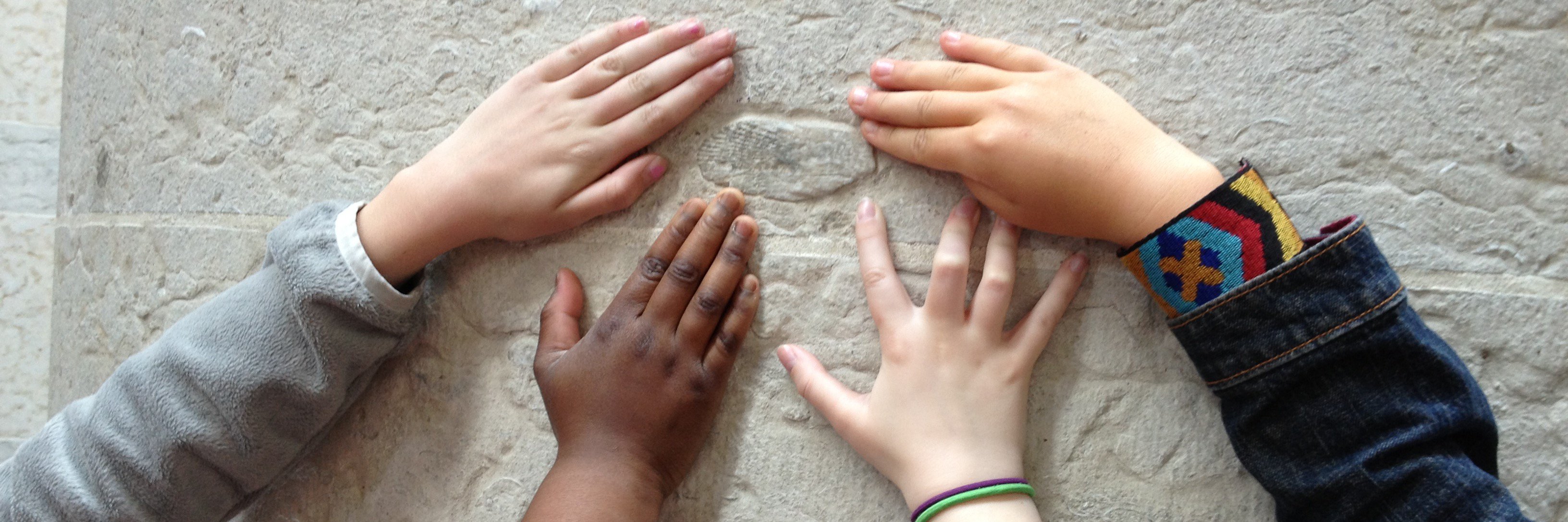 Julie Johnson banner