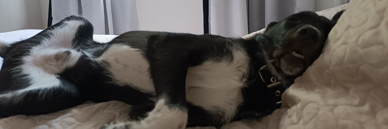 OriiMarchese's profile banner image