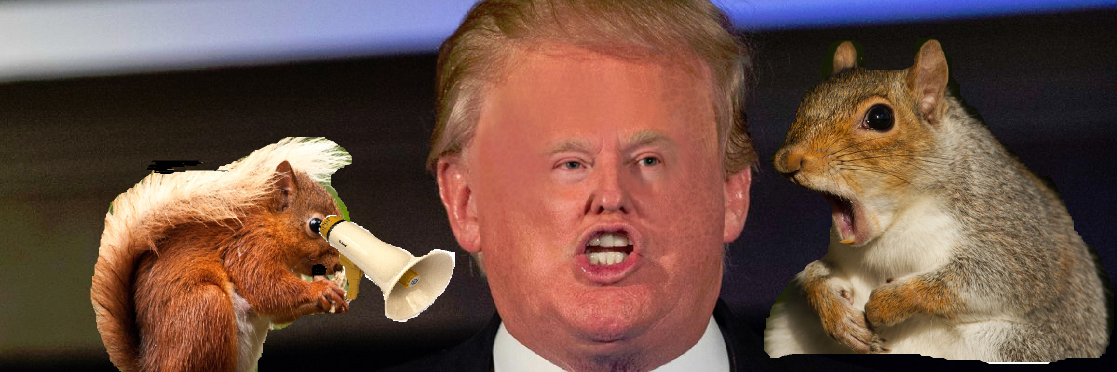Gov_Squirrel's profile banner image
