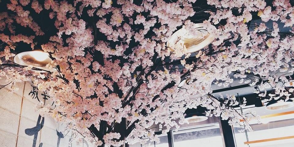 sunnychui's profile banner image