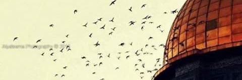 AmoonaShaher's profile banner image