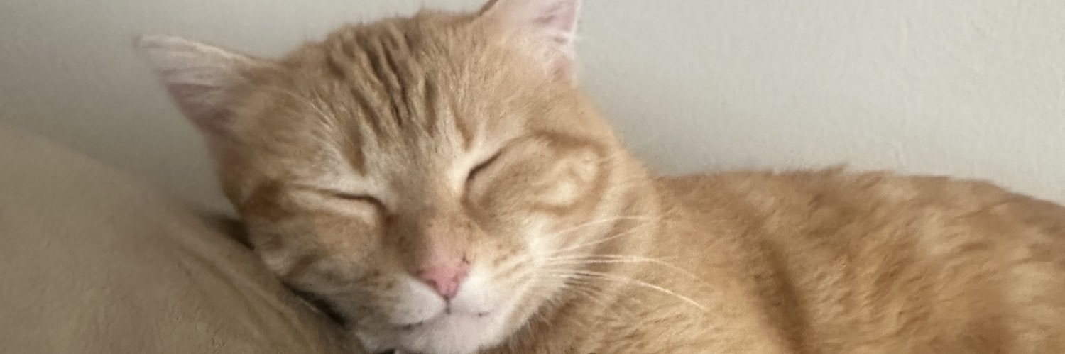 Ebcgant's profile banner image