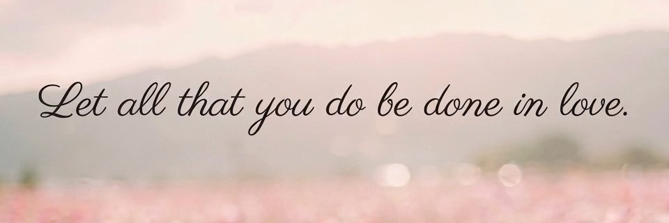 NatSimister's profile banner image