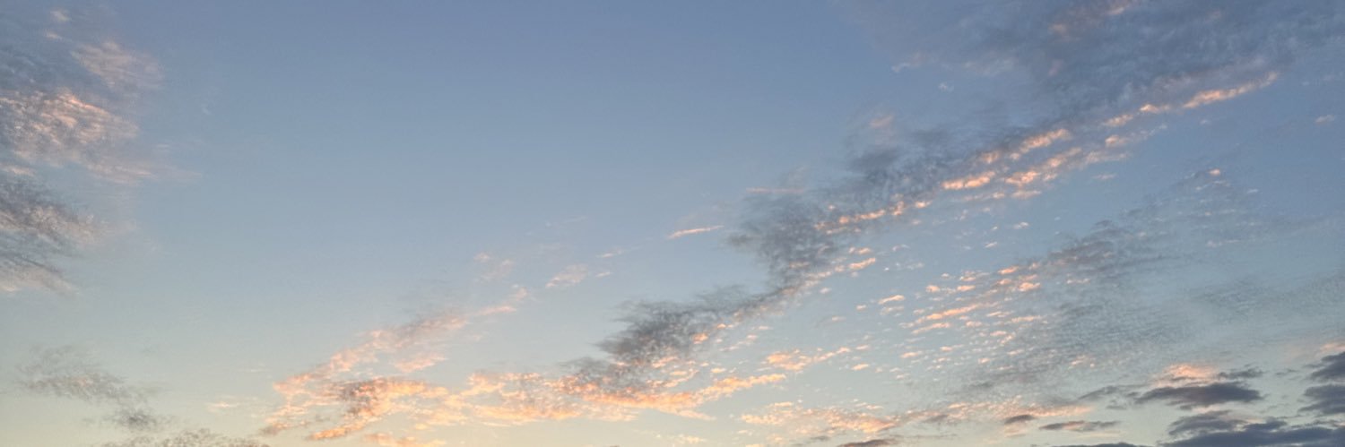 wavy_lavy's profile banner image