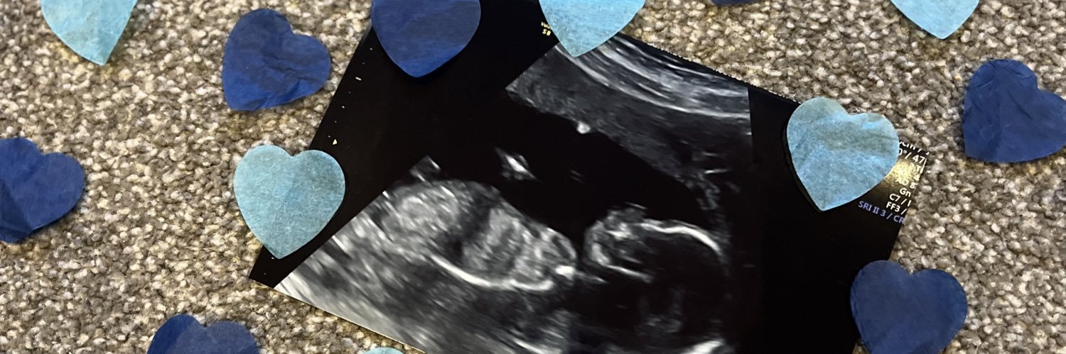 chloemcdadee's profile banner image