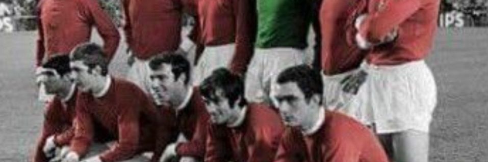 Fpl Twiggy banner