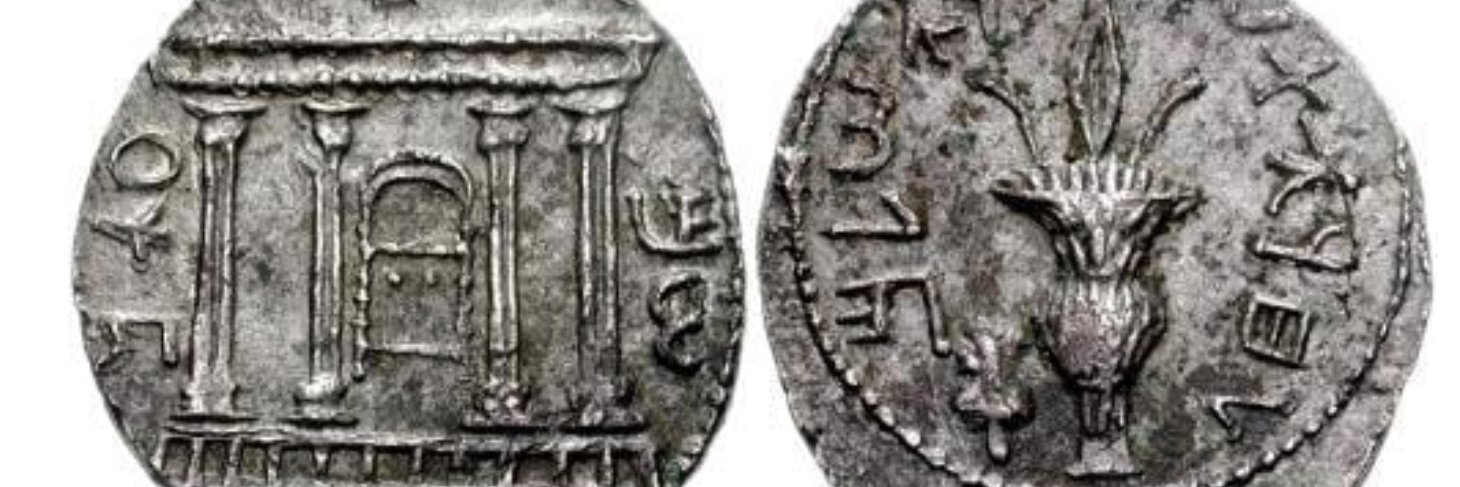 Av Michal אביגיל מיכל's banner