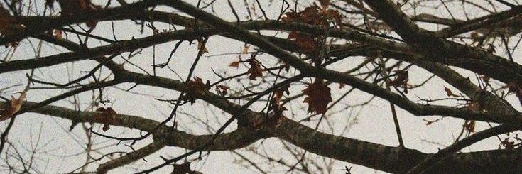 Porcelain_Ghost's profile banner image