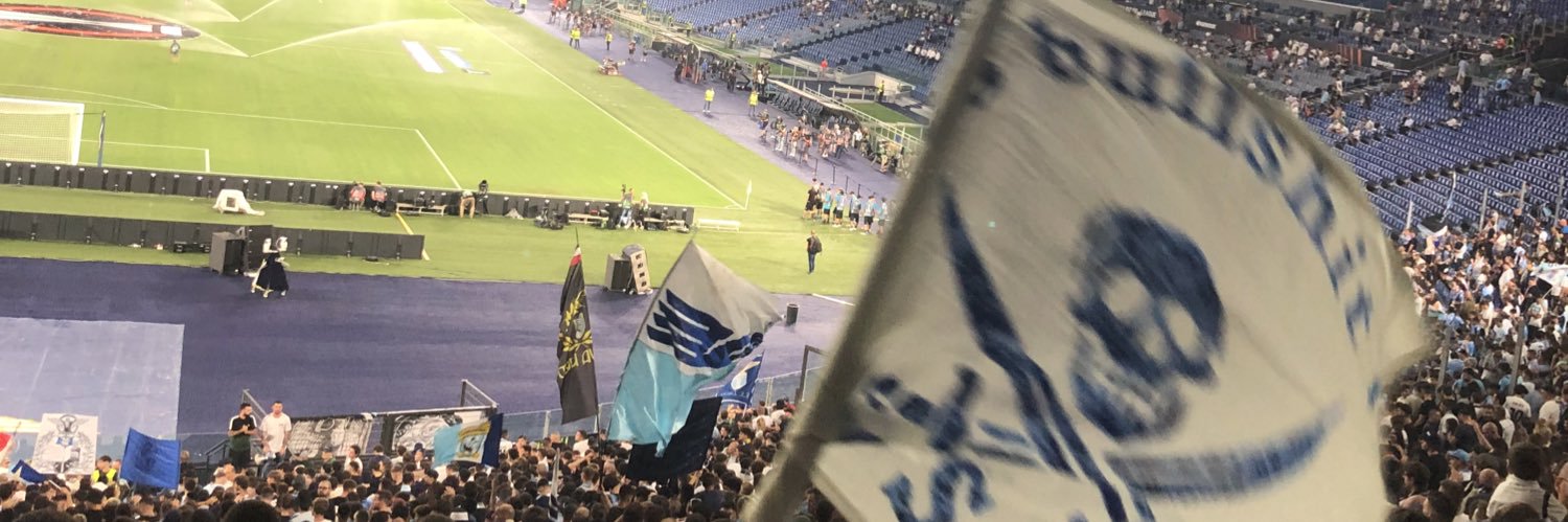 FLenzini's profile banner image
