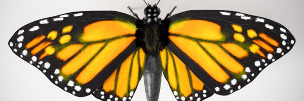 brianhanke Profile Banner