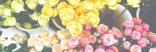 soaraoz's profile banner image