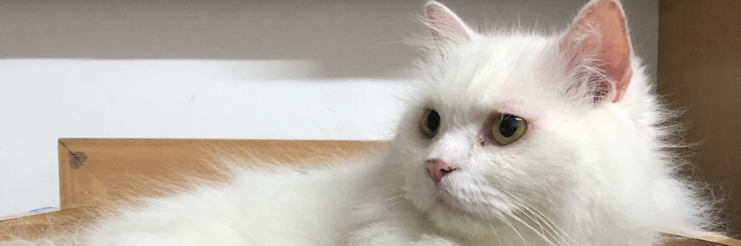 pitoonpps's profile banner image