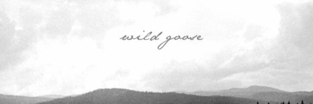 CorbariElena's profile banner image