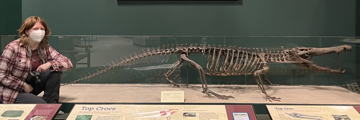 Crocodontist's profile banner image