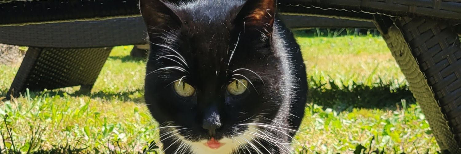 BusNasty's profile banner image