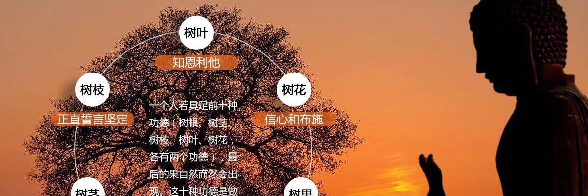 qwzh110's profile banner image