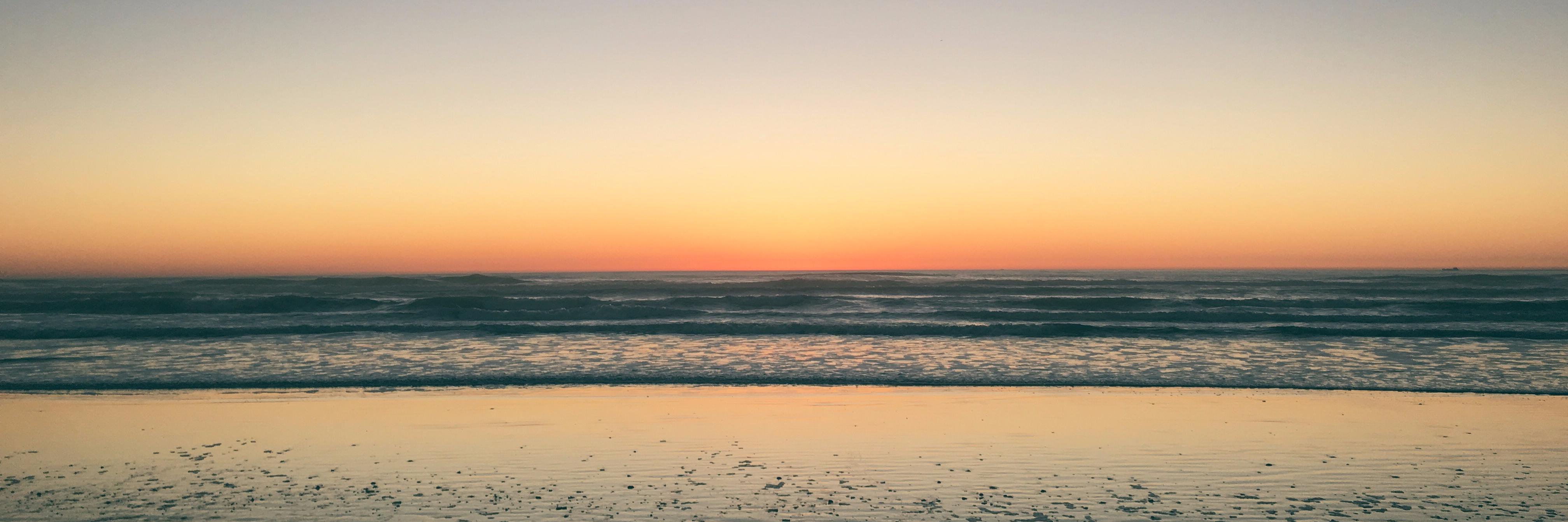 Nick de la Mare banner