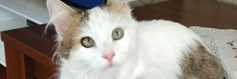 EBudaker's profile banner image