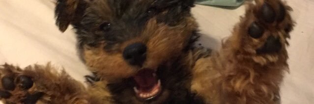 MillyTrigg's profile banner image