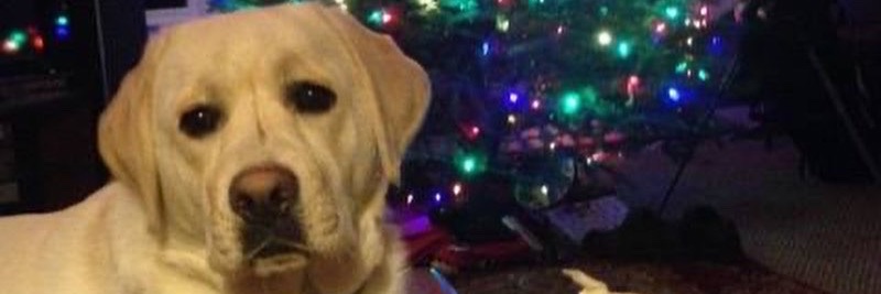 DebChristiana's profile banner image