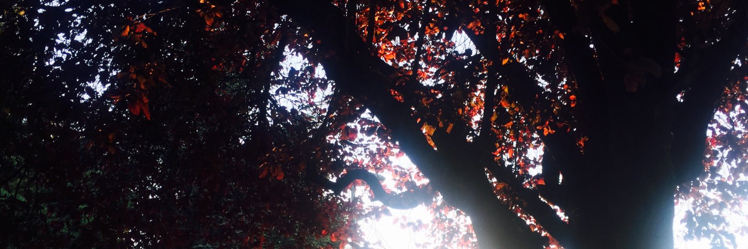 JustieJusty's profile banner image