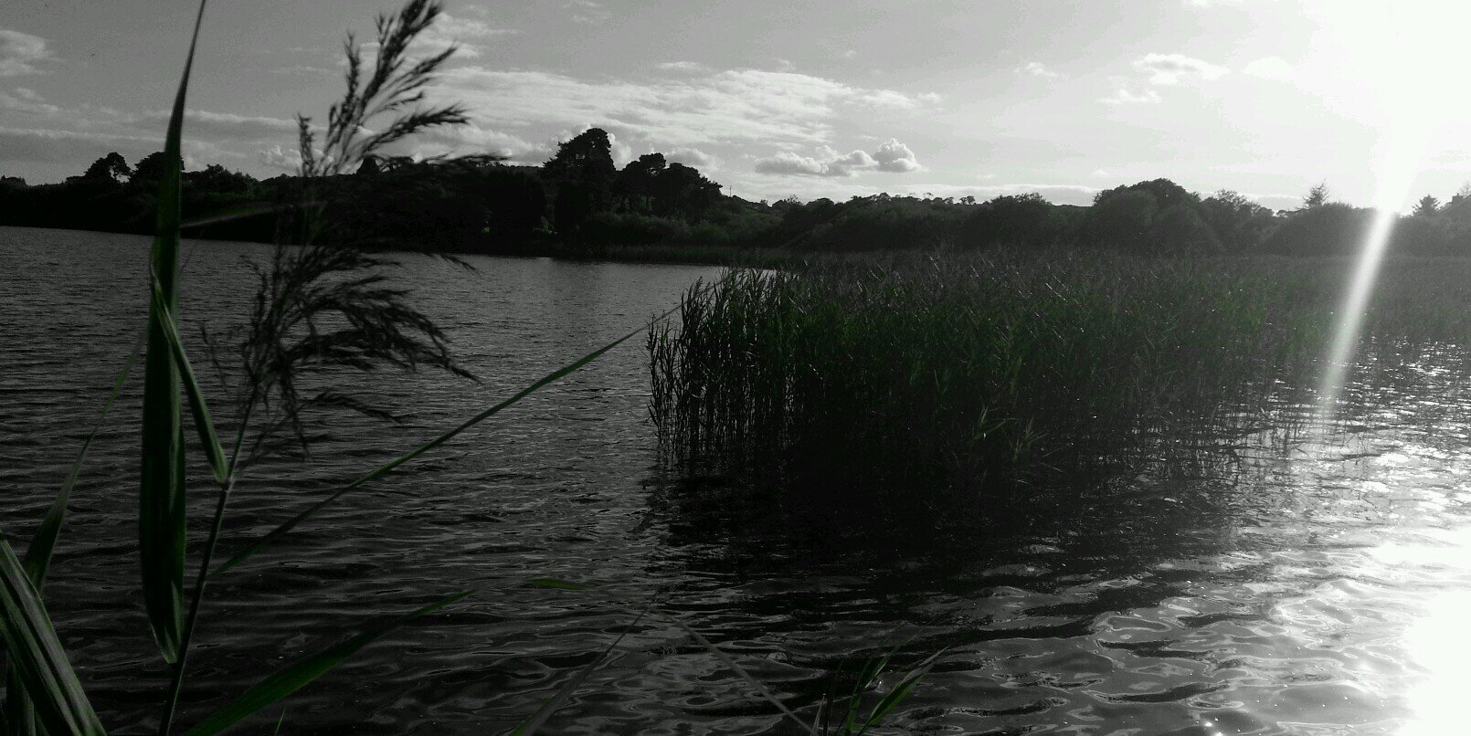 Bigjim100's profile banner image