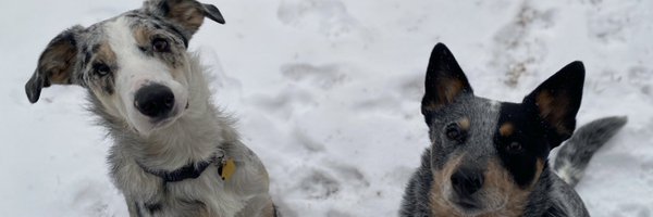 zakzak13 Profile Banner