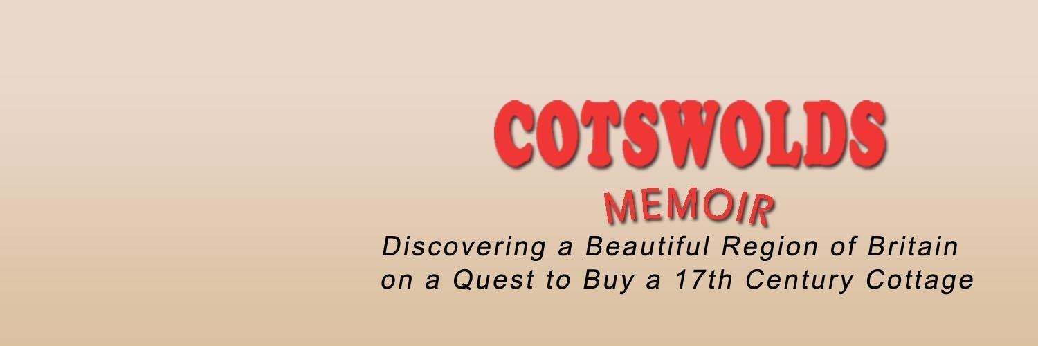 DizWhite's profile banner image