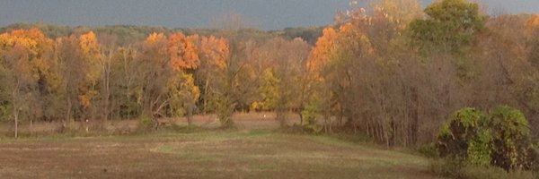 jbc204 Profile Banner