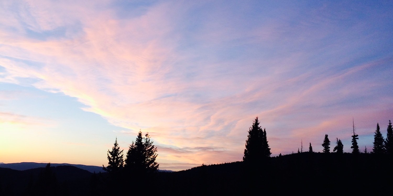 CassidyCreer's profile banner image