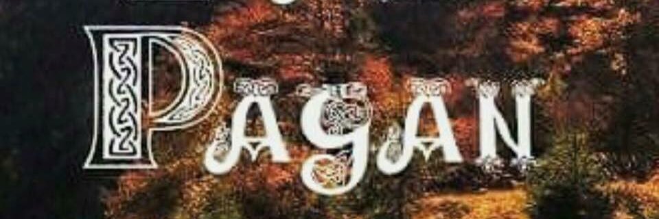 AleCedillo88's profile banner image
