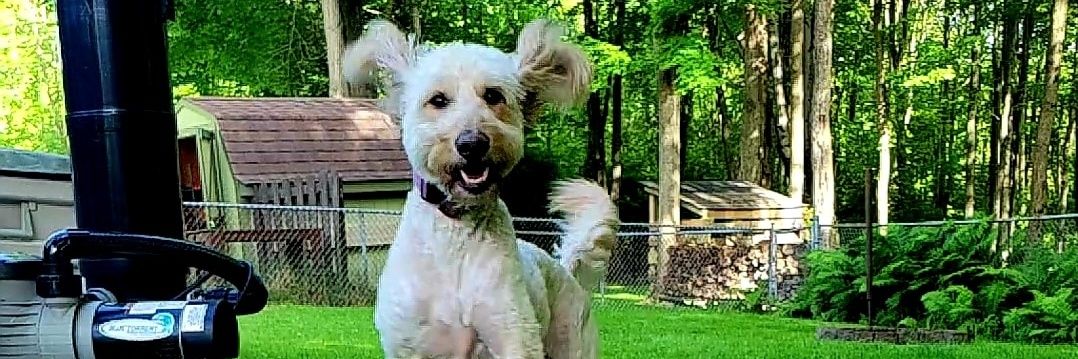 Tiffany Brenner banner