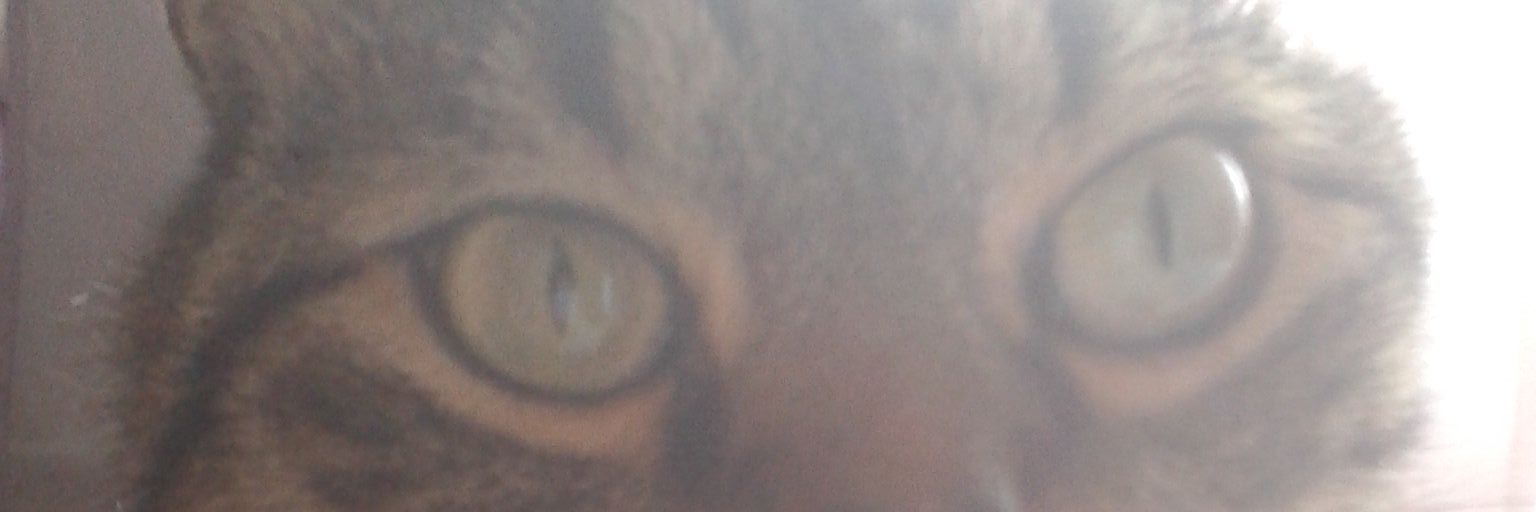 IsaRodrguezCort's profile banner image