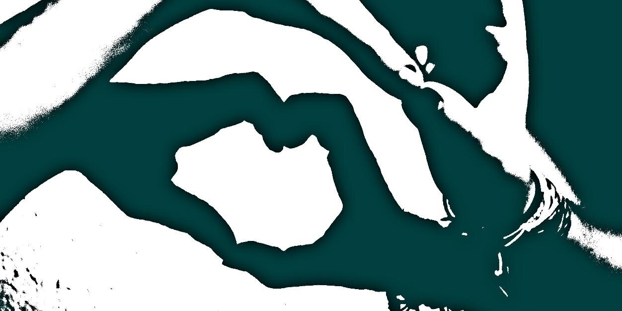 sabaterclara's profile banner image