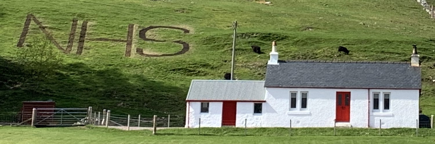 Beau, Maeve, Sheeps and Alpacas banner