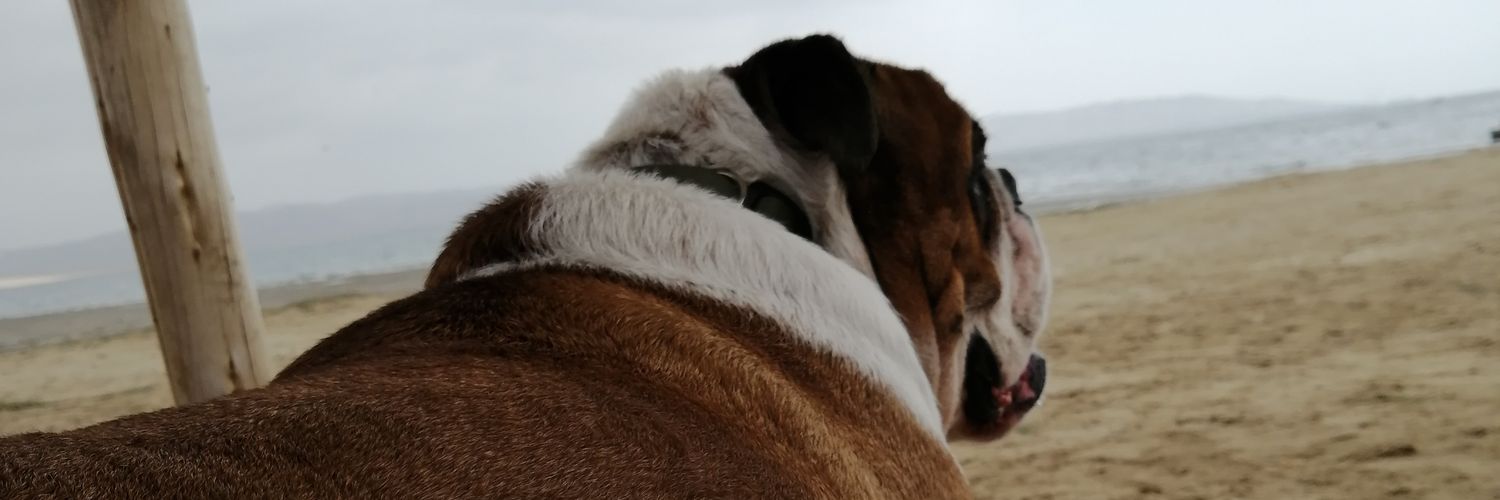 voyencombi's profile banner image