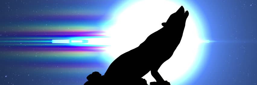 Homeric Thinking banner