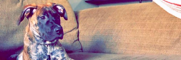 d_mags44 Profile Banner