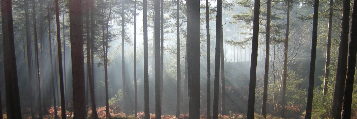MichaelWil3's profile banner image