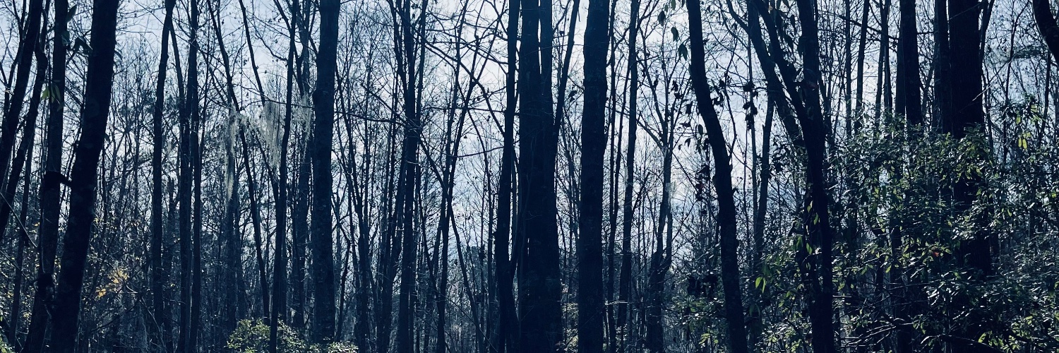 mottiejohn's profile banner image