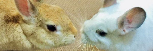 ssco_min Profile Banner