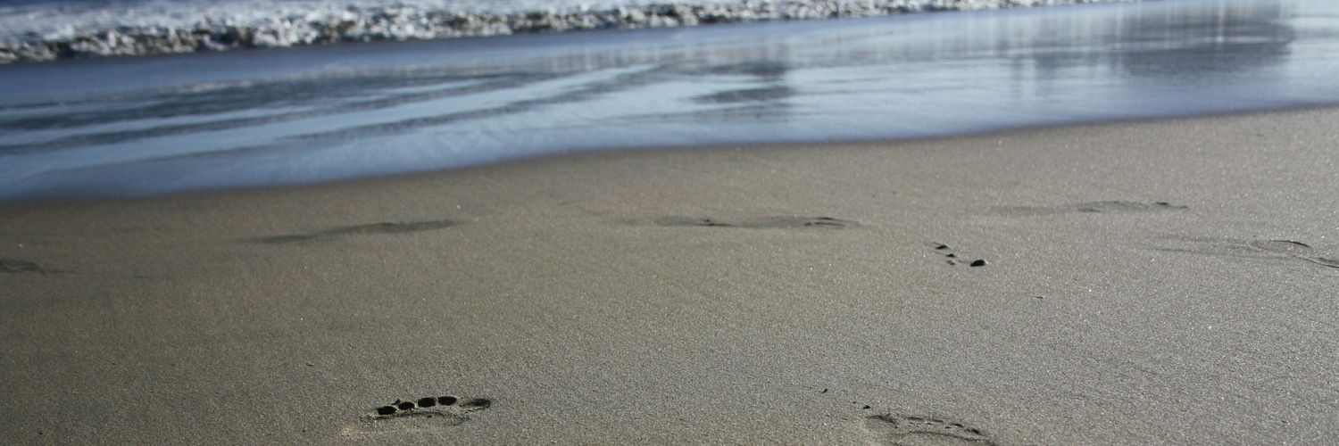 T_Seversen's profile banner image