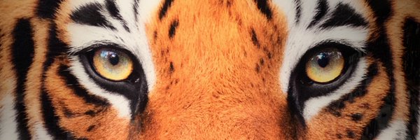_DwightSmith Profile Banner