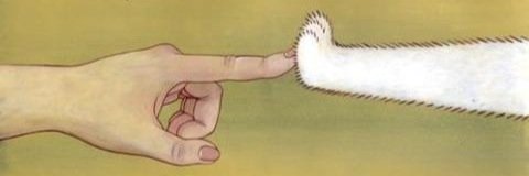 camelLawl's profile banner image