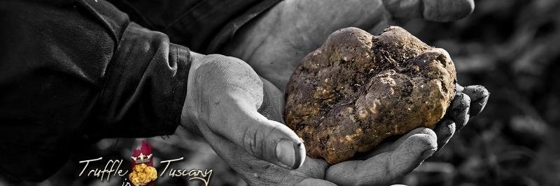 TruffleTuscany's profile banner image