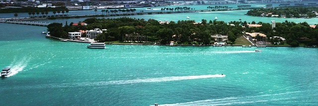 Mia/Whale banner